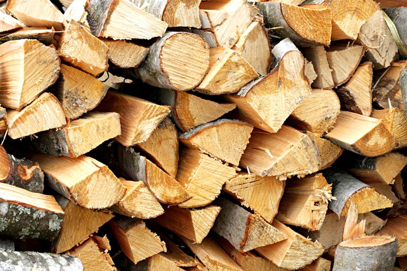 Proiect: TVA de 5% pentru lemnul de foc livrat către persoanele fizice
