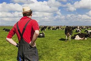 Începe plata avansului la subvenţiile agricole pe 2017. Câţi bani iau fermierii