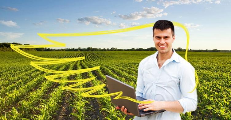 Recoltă bogată de porumb în 2017. Hibrizi care au excelat în producţie