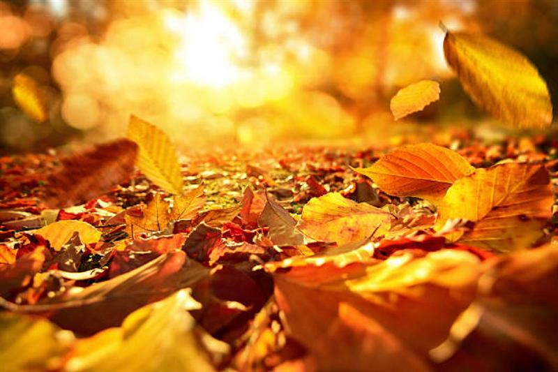 Prognoza meteo pentru joi şi vineri. Vremea se încălzeşte