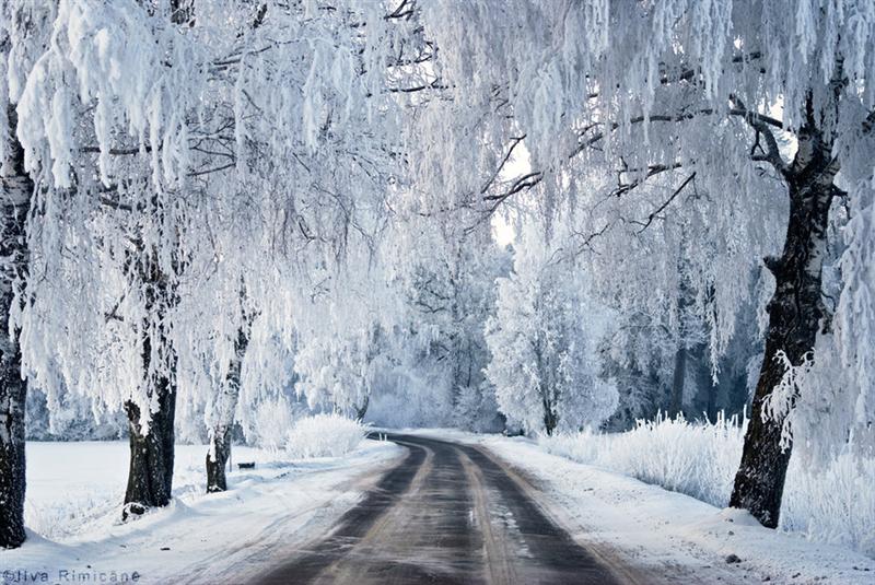 Vine iarna! Ciclonul polar Olaf aduce zăpada în România