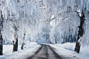 Vine iarna! Ciclonul polar Olaf aduce zăpada în România