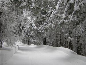 DN1R, între județele Cluj și Alba, închis pe perioada iernii