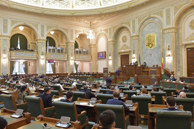Noi modificări la Legea ONG-urilor. Petrea: proiectul lui Nicolae şi Pleşoianu e restrictiv