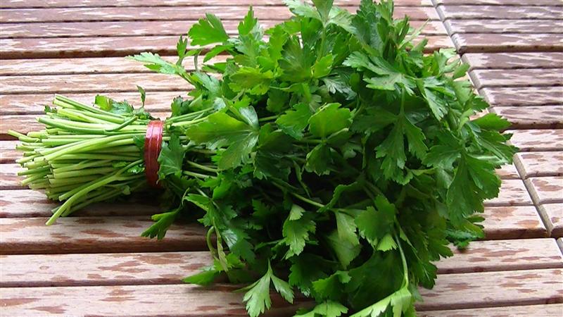 Cercetătorii clujeni vor să extragă vitamina C din pătrunjel
