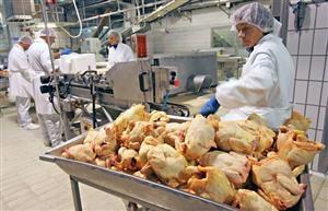 Jumătate din producătorii de carne sunt în risc de faliment