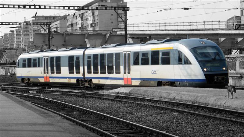 Săgeata Albastră, suspendată după 5 luni