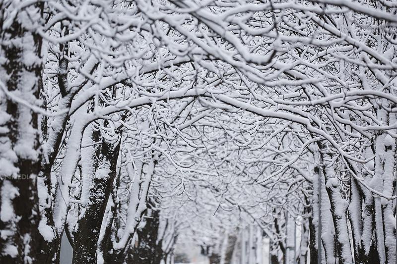 Alertă meteo: Se răceşte vremea. Vânt şi ninsoare în mai multe regiuni din ţară