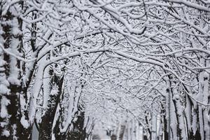 Alertă meteo: Se răceşte vremea. Vânt şi ninsoare în mai multe regiuni din ţară