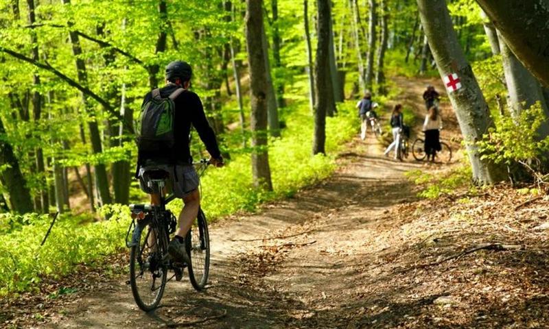 Petroliștii de la MOL vor finanța proiecte din ariile protejate 