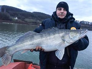 REPORTAJ Pescarii clujeni nu dau lacul pe șemineu. Șalău de 8 kg, prins pe Bezid