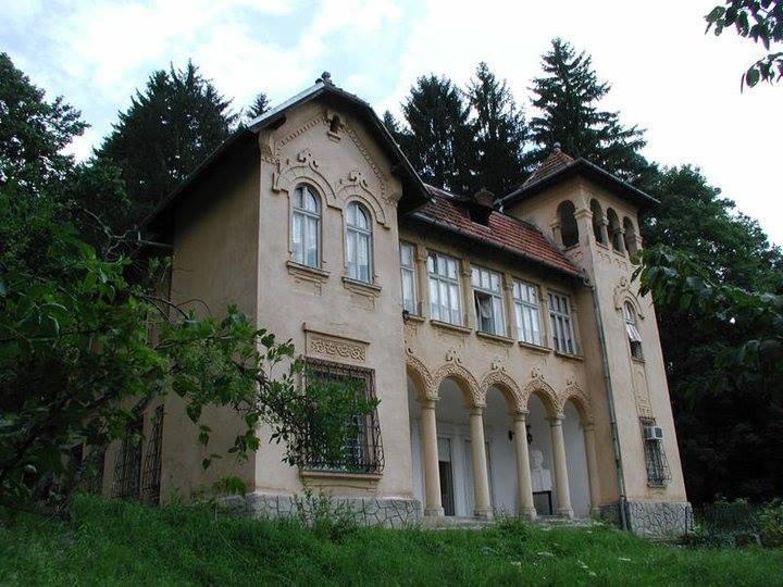 CJ Cluj continuă bătălia pentru Muzeul Goga de la Ciucea