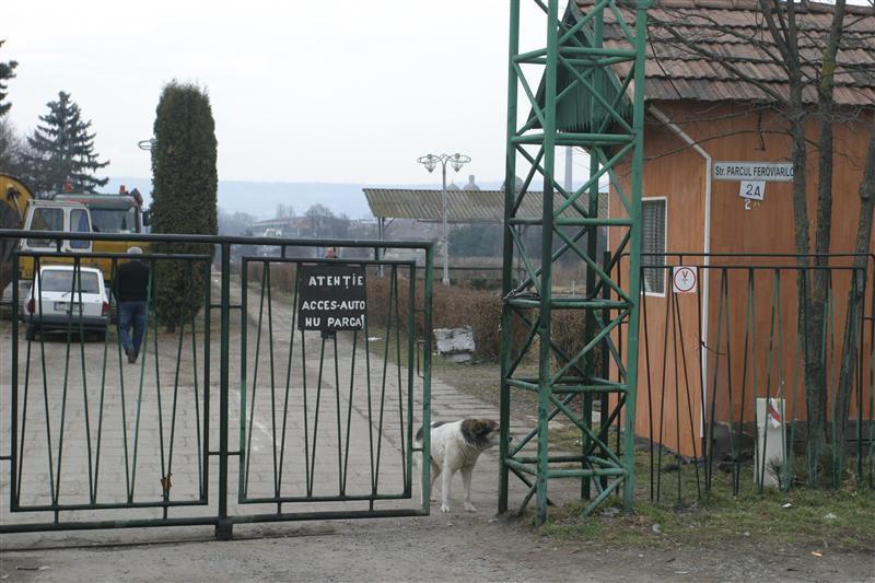Peste jumătate de milion pentru proiectul unui parc. 