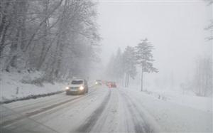 Cod portocaliu de GER, NINSORI ŞI VISCOL/ HARTA judeţelor vizate