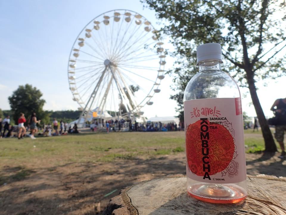 Kombucha It's Alive, băutură care îţi vindecă trupul cu fiecare înghiţitură. Afacerea 