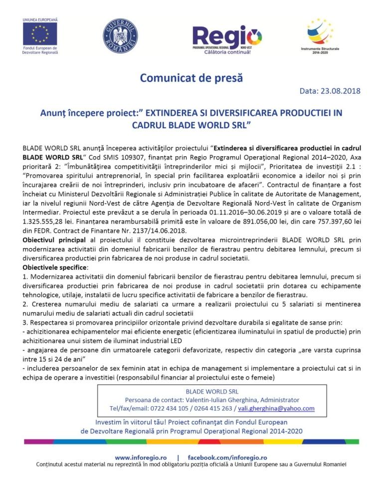 ” Extinderea şi diversificarea producţiei în cadrul BLADE WORLD SRL”