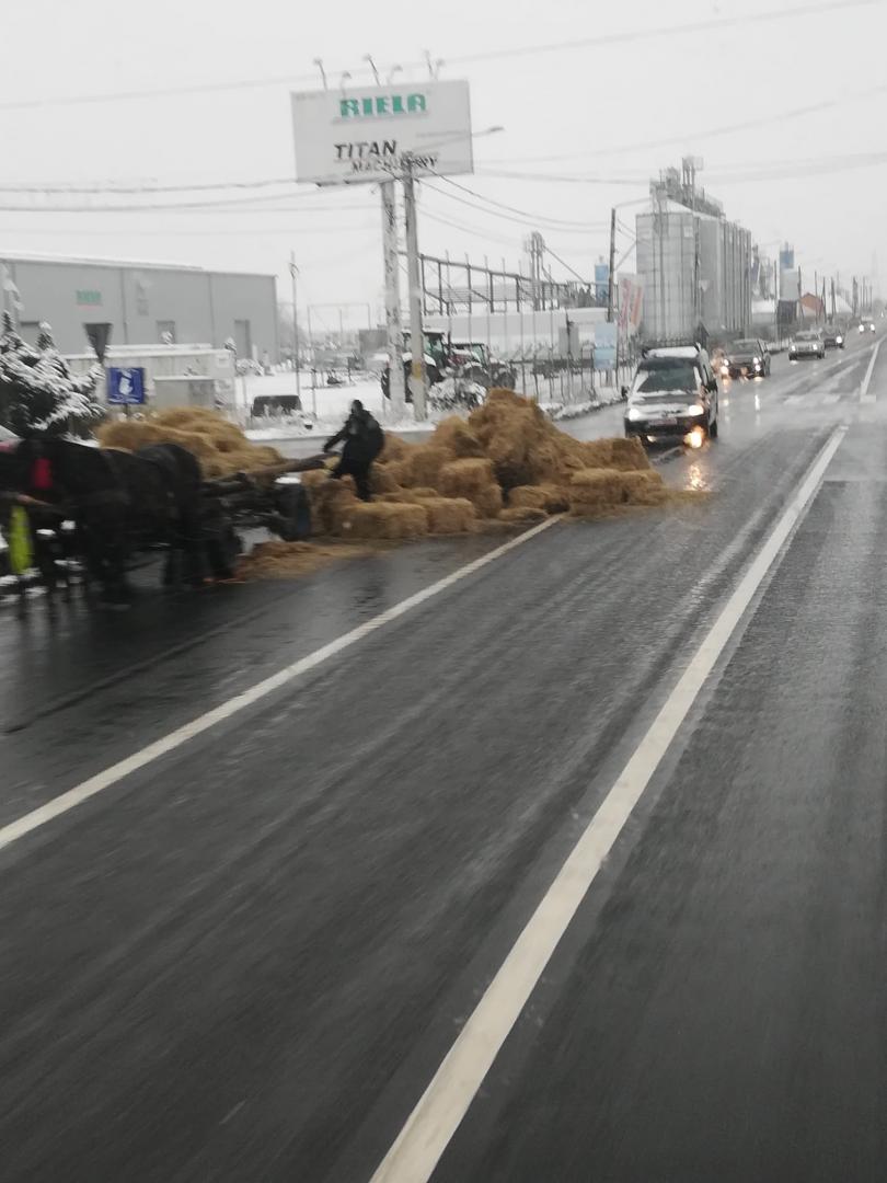 Accident tragicomic pe o stradă din Cluj. S-au răsturnat baloții dintr-un car