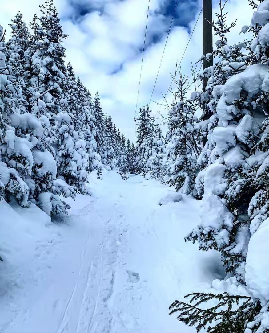 FOTO: Weekend la ski. Peisaje uimitoare pe pârtiile din Cluj