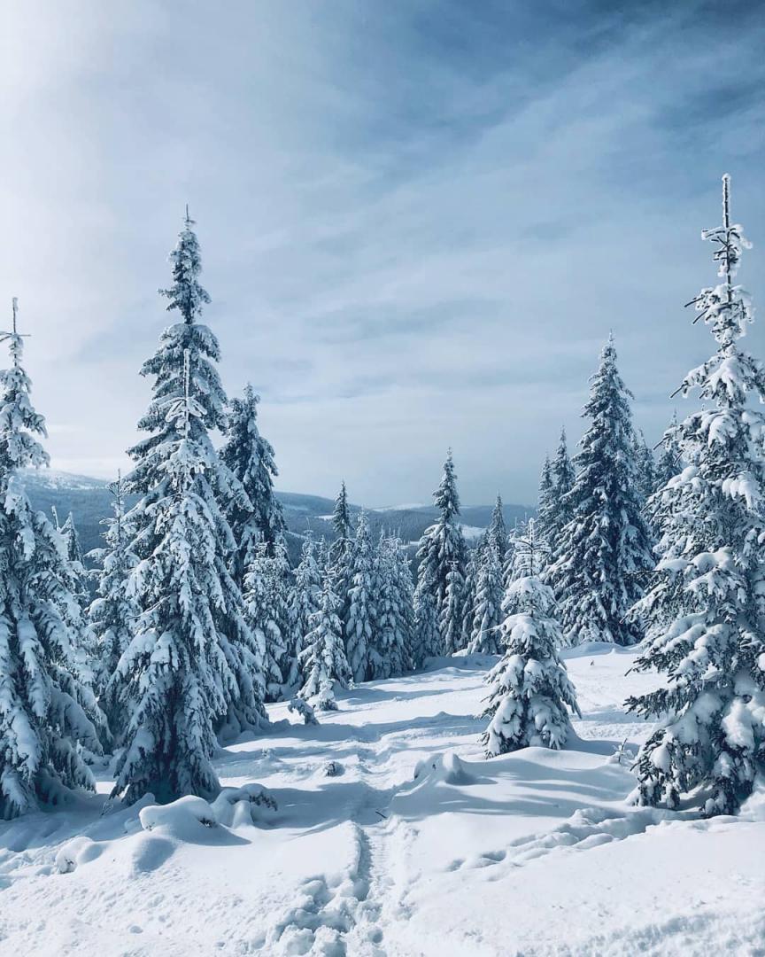 FOTO: Weekend la ski. Peisaje uimitoare pe pârtiile din Cluj