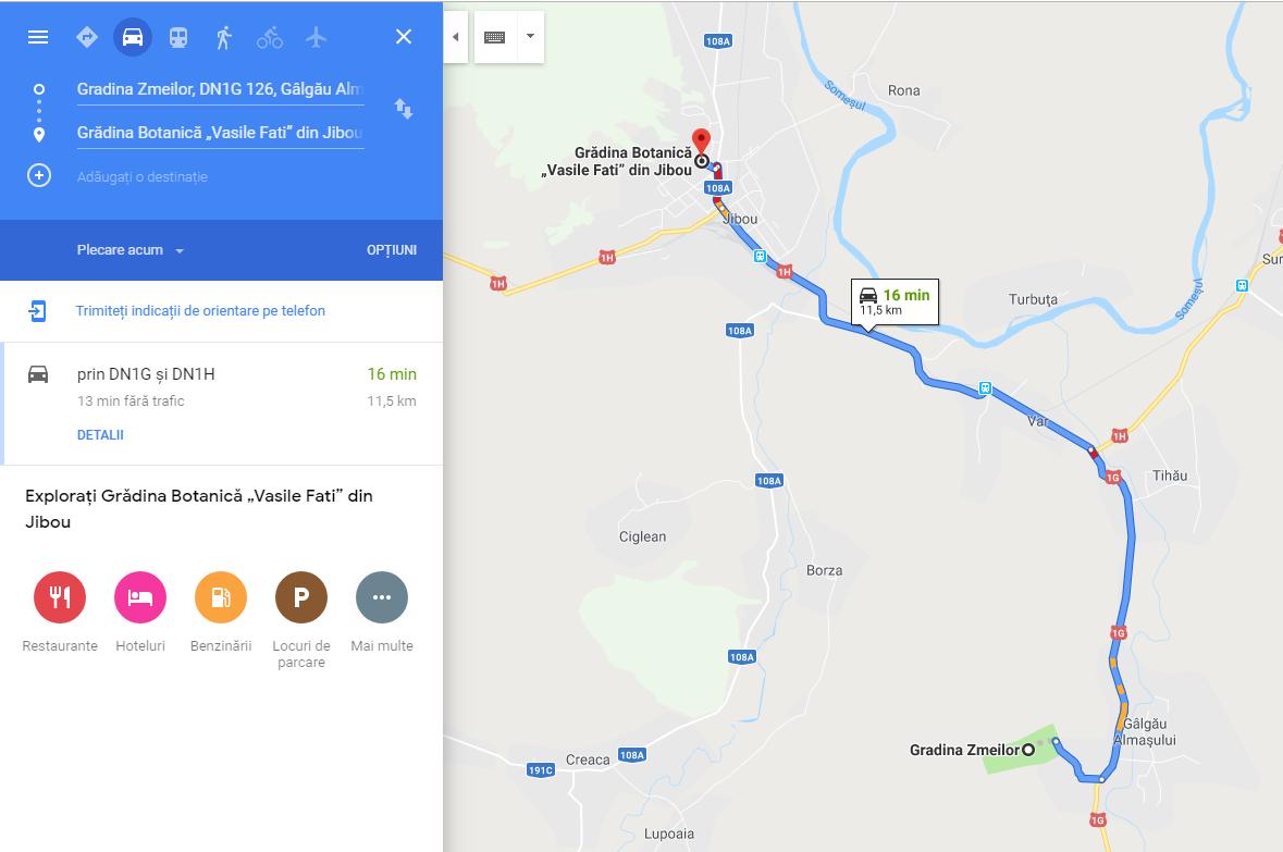 Castelul Ciorii, o bijuterie arhitecturală la doi paşi de Cluj. Ce mai puteţi vizita în zonă