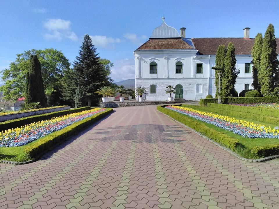 Castelul Ciorii, o bijuterie arhitecturală la doi paşi de Cluj. Ce mai puteţi vizita în zonă