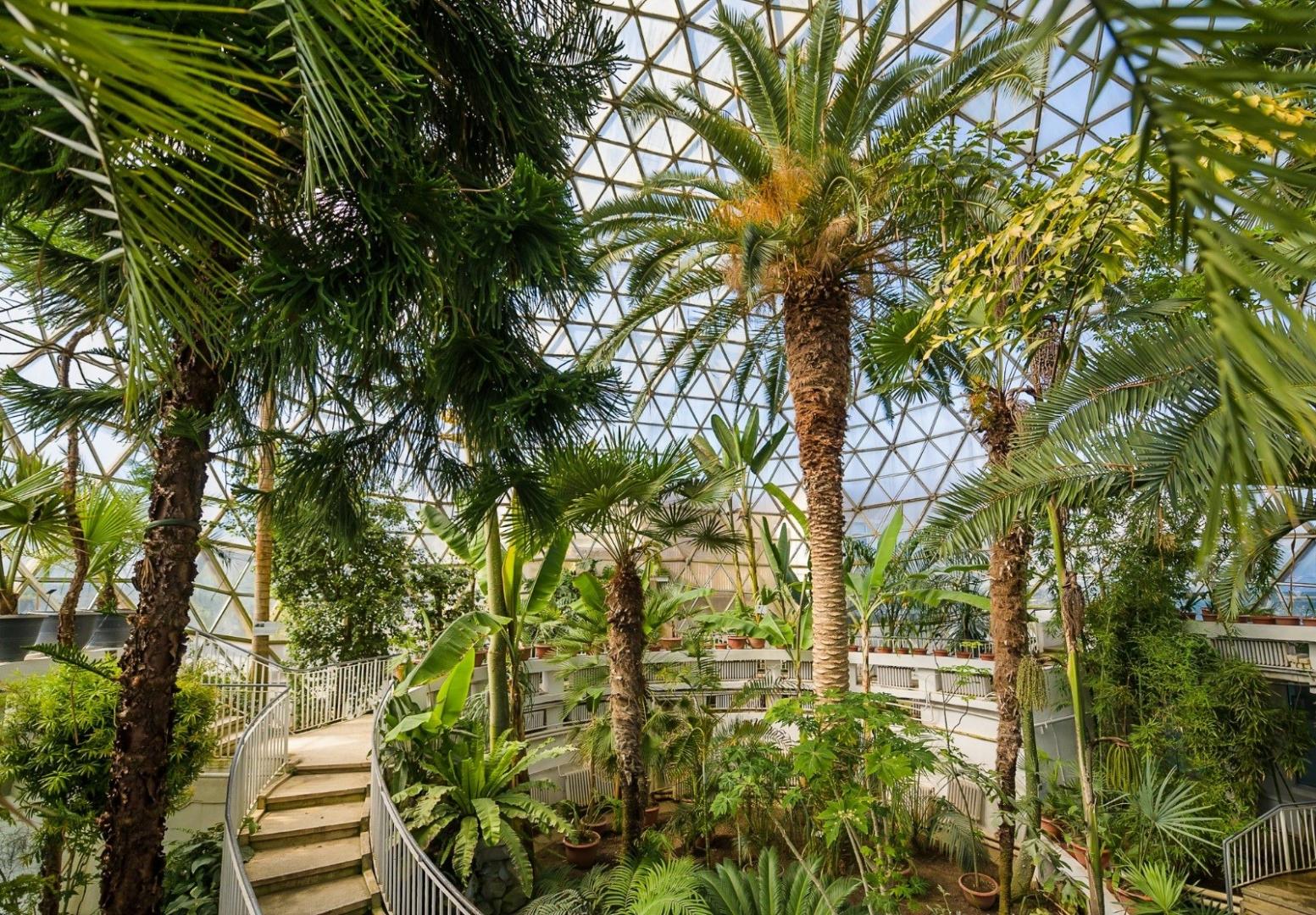 Castelul Ciorii, o bijuterie arhitecturală la doi paşi de Cluj. Ce mai puteţi vizita în zonă