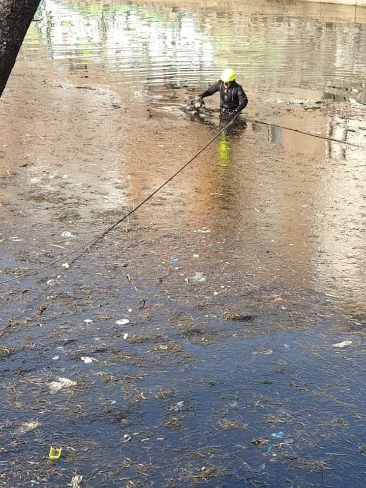 Câine, salvat de pompieri din apele Someșului