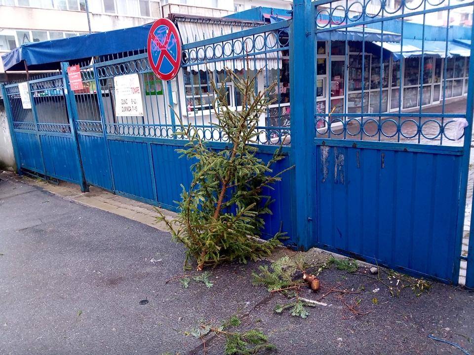 Brazi abandonați de Crăciun în zona Pieței Ion Mester