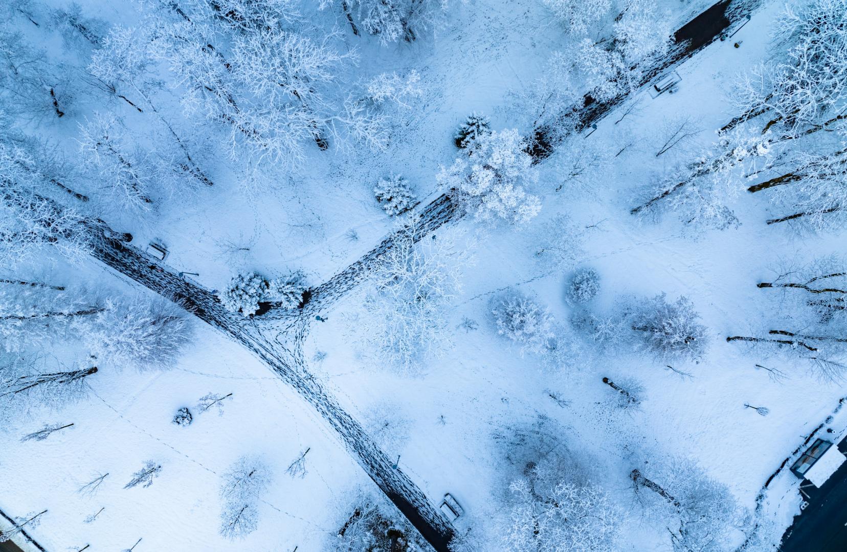 Clujul, în haine de iarnă. Imagini superbe cu oraşul acoperit de omăt