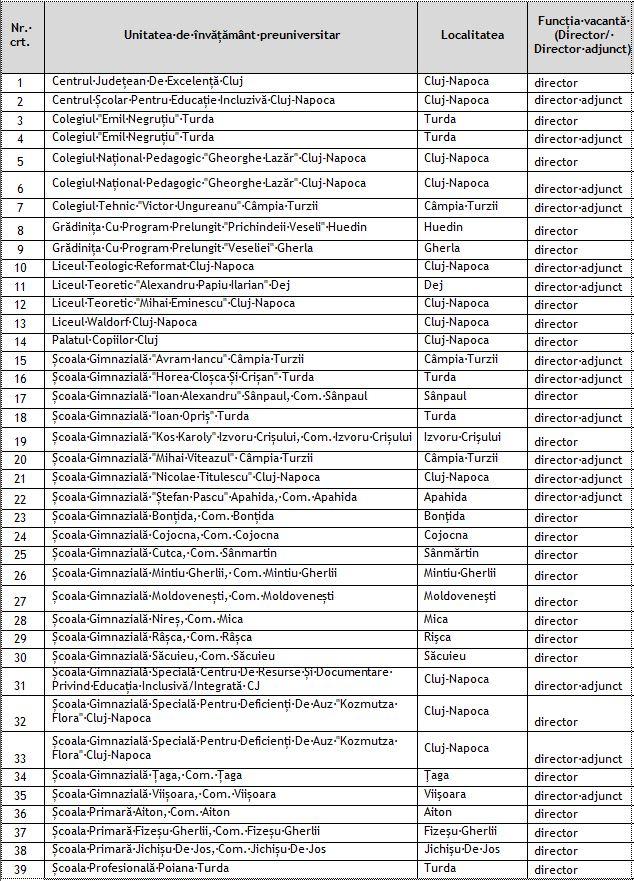 Se caută directori pentru posturile rămase neocupate în școlile din Cluj