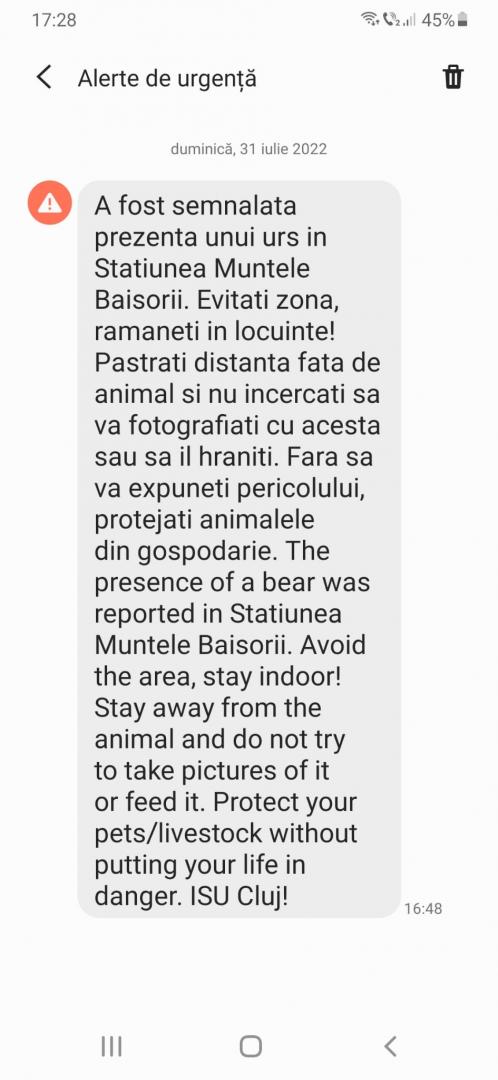 Mare atenție, clujeni! Urs văzut la Muntele Băișorii / S-a emis mesaj RO-ALERT