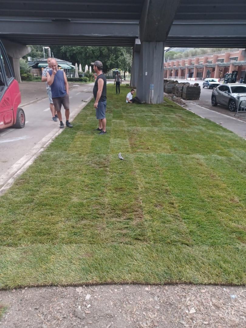 Spații verzi din capitala Italiei, amenajate de o companie din Cluj