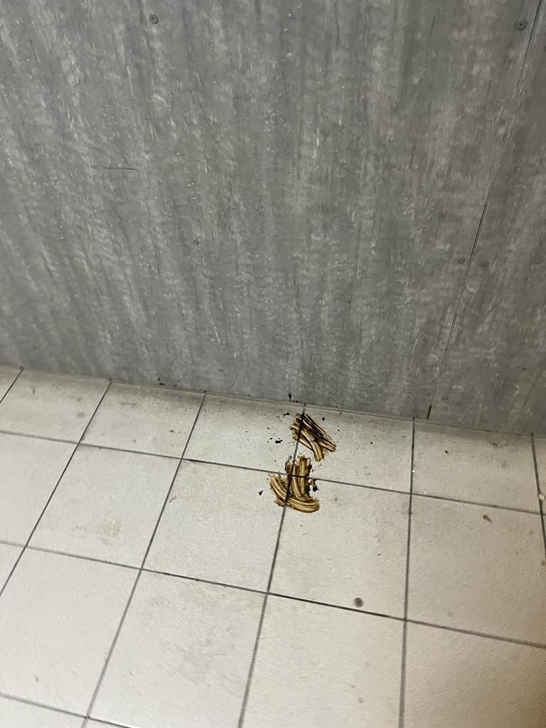 În sfârșit, CFR curăță jegul din pasajul de la gară