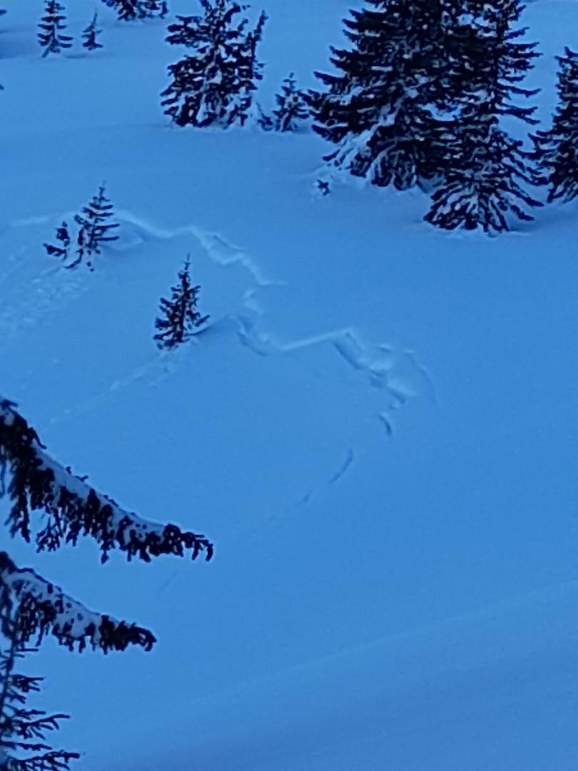 Atenție, risc de avalanșă într-o zonă de munte din județul Cluj