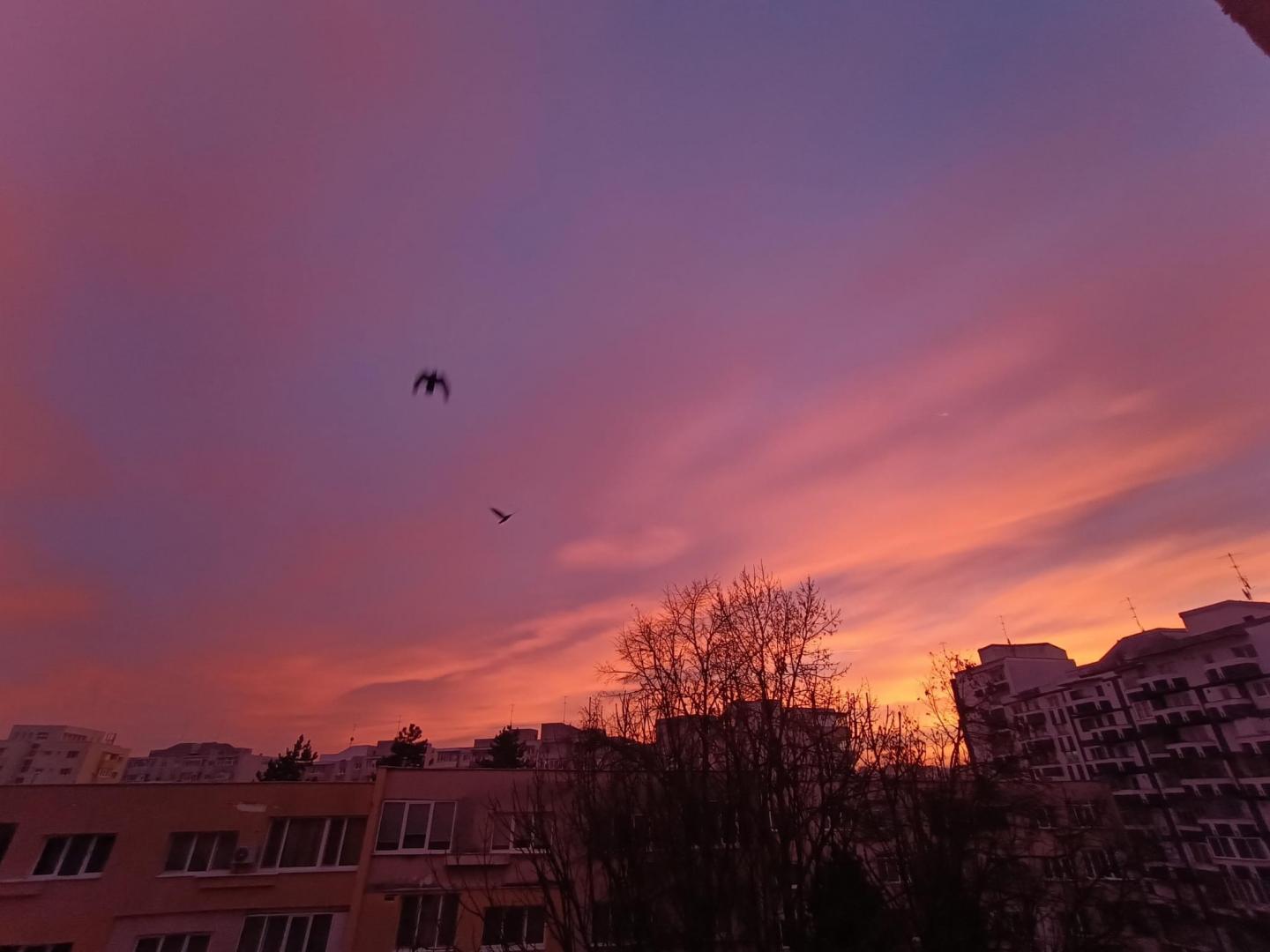 Imagini SUPERBE cu răsăritul, în această dimineață. Cer "pictat" în diferite nuanțe de roz și portocaliu