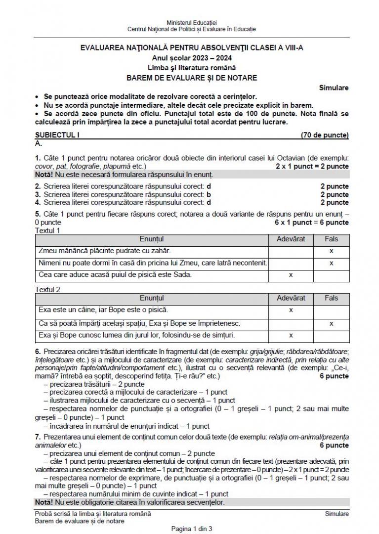 Simulare BAC 2024. Subiectele la Limba și literatura română