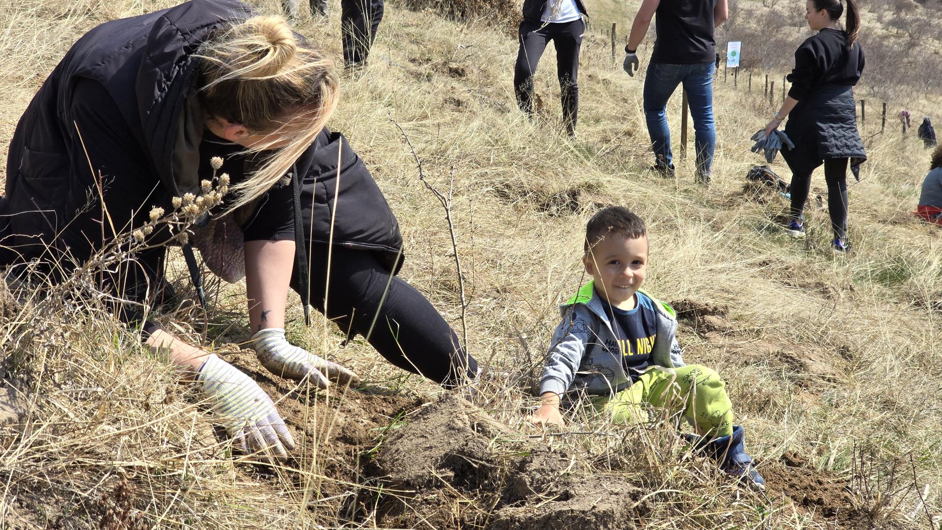 Pruniș devine mai verde: 6500 de puieți plantați &icirc;n cadrul unei acțiuni de &icirc;mpădurire