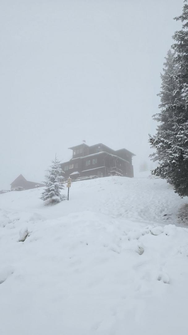 În zona de munte a județului Cluj ninge ca-n povești. Pădurile sunt acoperite cu un strat proaspăt de zăpadă