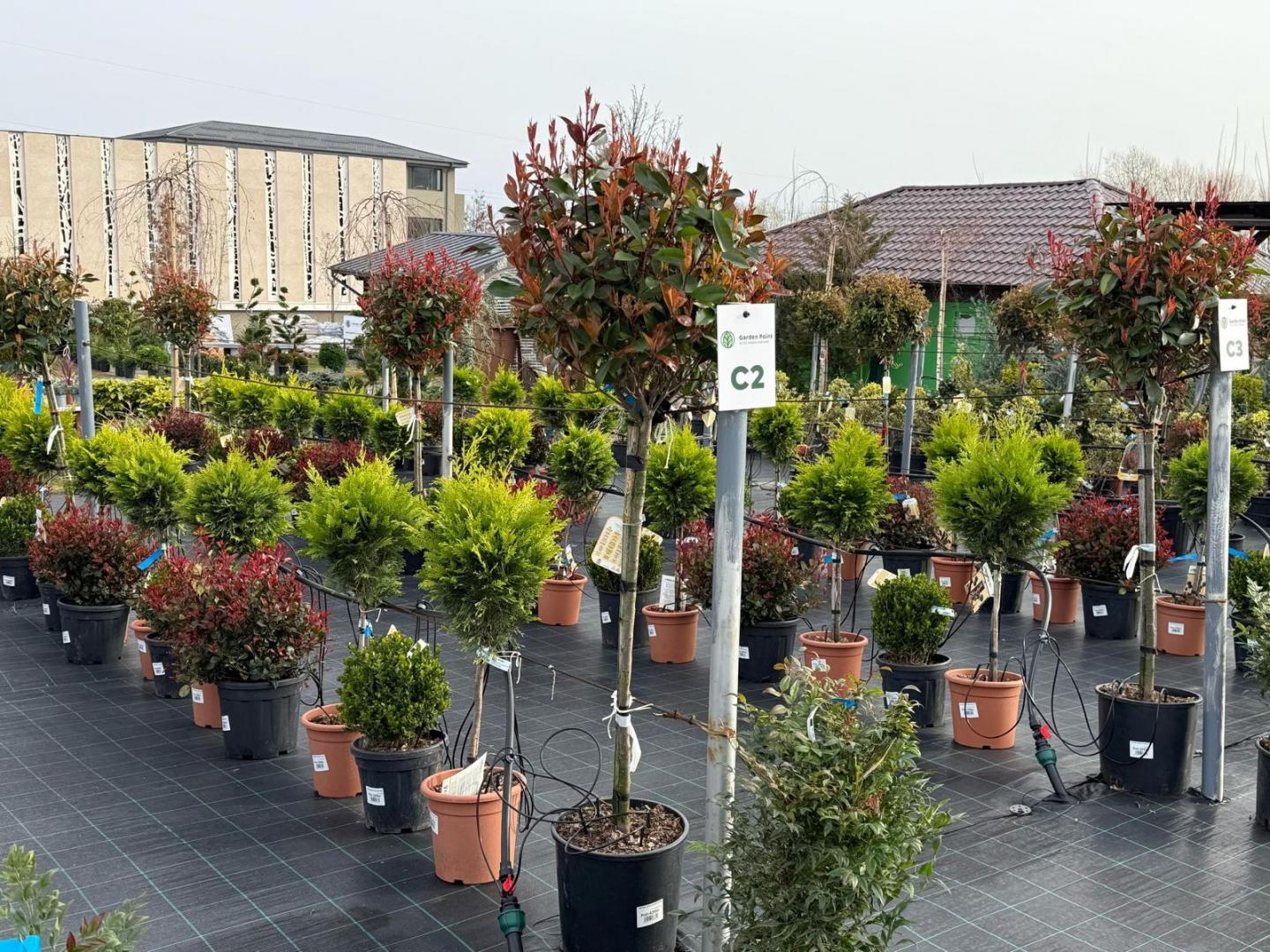 A venit primăvara la Garden Point by Eco Garden Construct, "hypermarket-ul" de plante de pe Calea Turzii