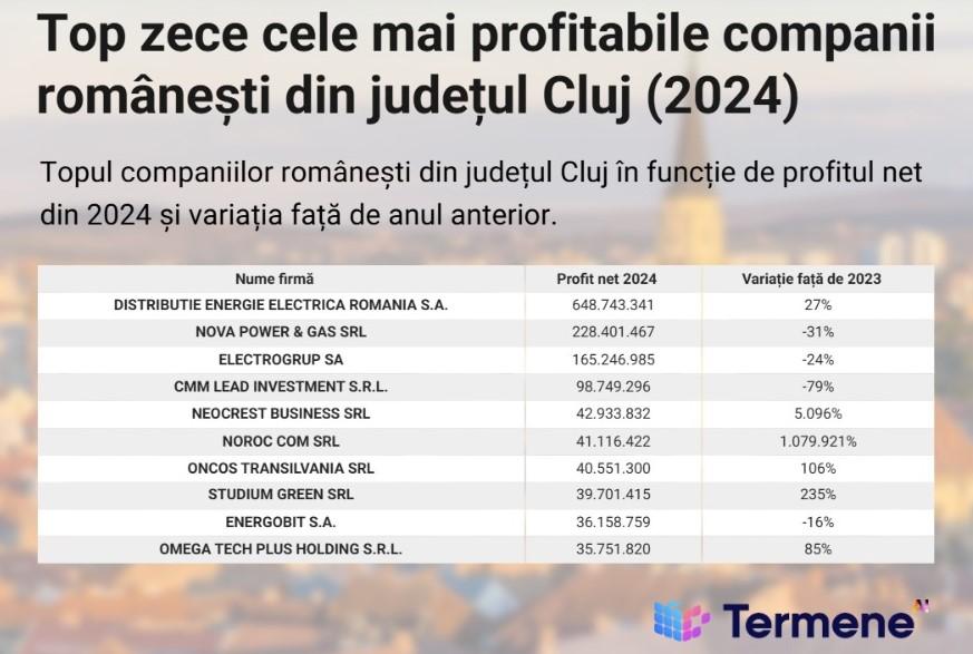 „Greii” businessului românesc din Cluj. Vezi TOP 10 companii din județ