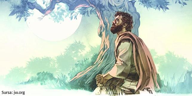 &bdquo;Cine va salva planeta?&rdquo; / O campanie mondială transmite un mesaj de speranță