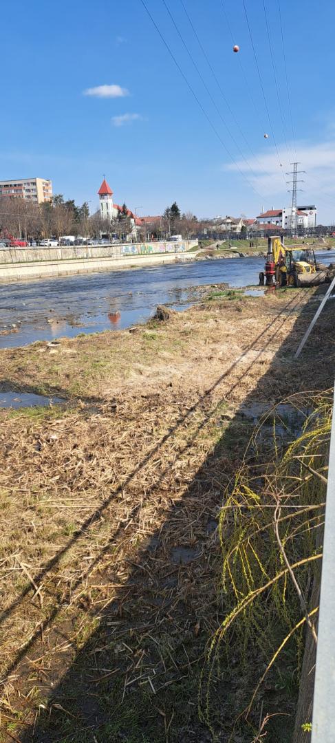 Cine a avut "strălucita" idee să taie stufărișul? / &rdquo;Specialiștii&rdquo; omoară &icirc;ncet și sigur toată biodiversitatea