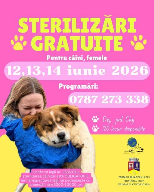 Campanie de sterilizări gratuite pentru c&acirc;ini cu sau fără stăp&acirc;n din Dej și satele din jur