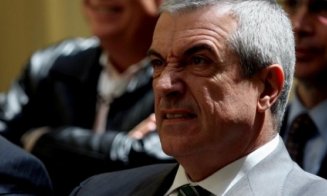 Dosarul în care Tăriceanu era acuzat de fals în declaraţii a fost clasat