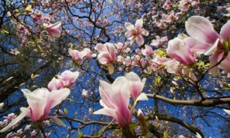 Cum va fi vremea de Florii şi de Paştele catolic