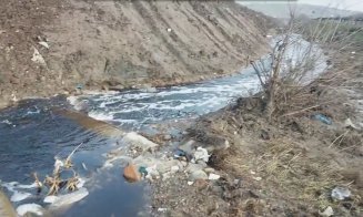 Un activist de mediu şi PSD Cluj acuză conducerea județului: “Dezastru ecologic la Pata Rât”. Garda de Mediu a făcut plângere penală
