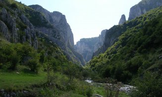 Ce faci în weekend? Poţi ajuta la ecologizarea traseului turistic din Cheile Turzii