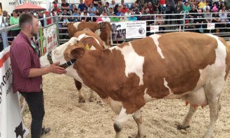 Clujul vrea să producă alimente pentru arabi. Show cu tauri, cai și tractoare la Agraria