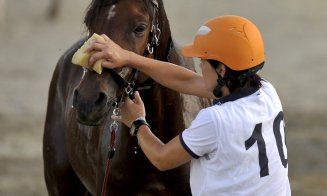40 de cai și călăreți se luptă în weekend la Salina Equines pentru locul 1 la Etapa Națională de Anduranță Ecvestră