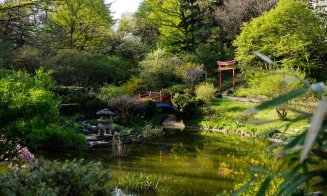 Agenda de weekend: 27 – 29 aprilie